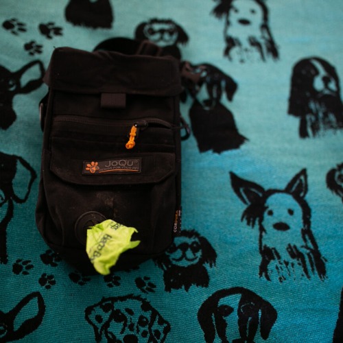JOQU - Dog Snack Bag